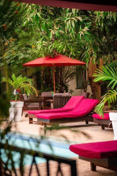 ホテル Hibiscus House Gambia Brufut エクステリア 写真