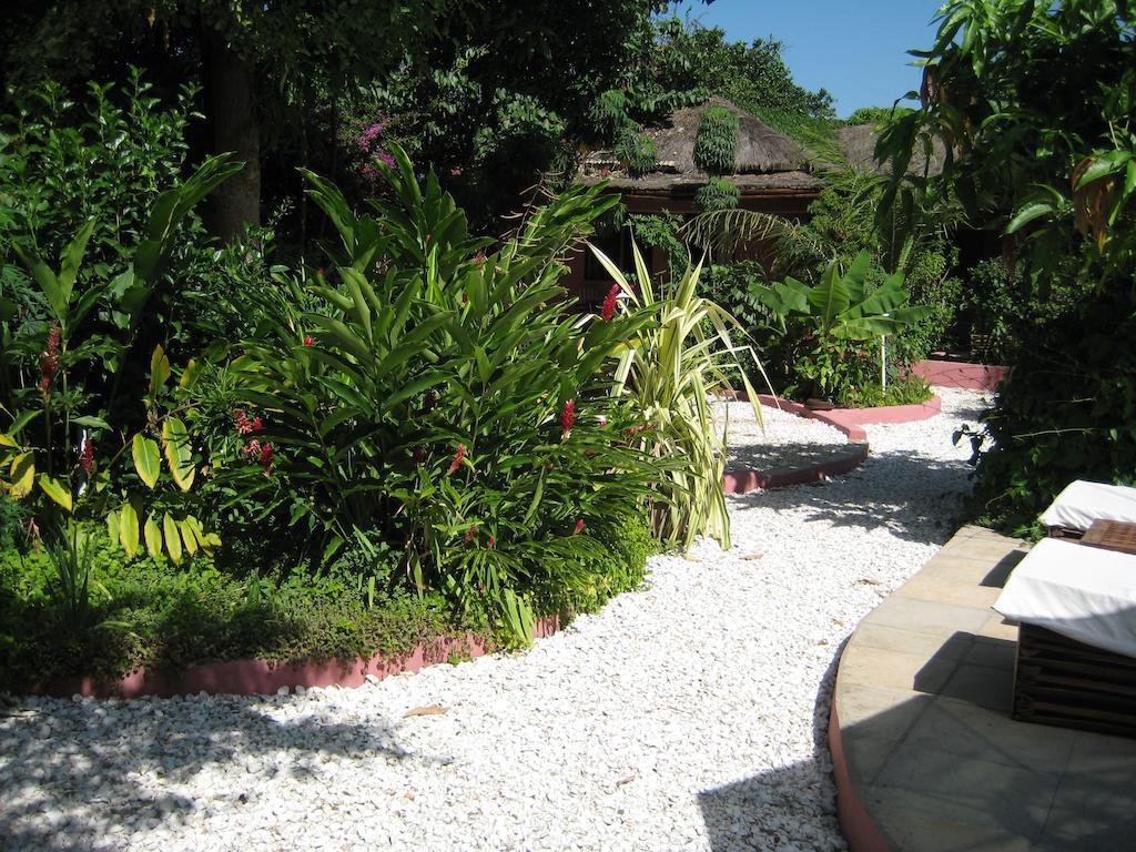 ホテル Hibiscus House Gambia Brufut エクステリア 写真