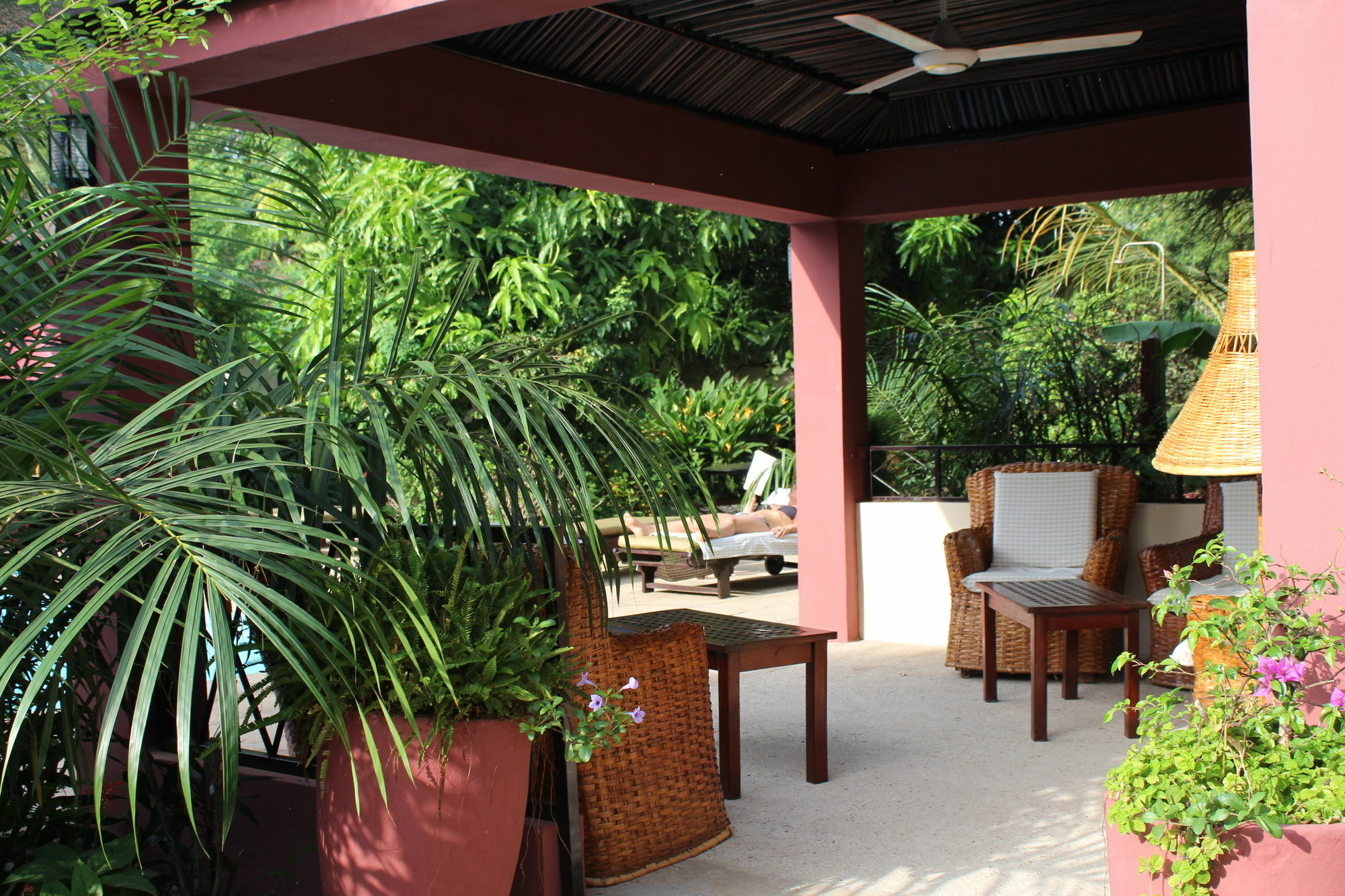 ホテル Hibiscus House Gambia Brufut エクステリア 写真